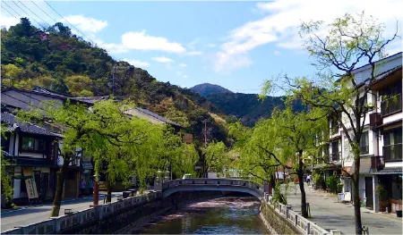 城崎温泉の柳並木と橋